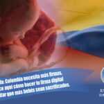 Provida: Colombia necesita más firmas, conoce aquí cómo hacer tu firma digital para evitar que más bebés sean sacrificados.