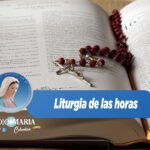 Liturgia de las horas – 29 de octubre de 2024 – XXX semana del SalterioII