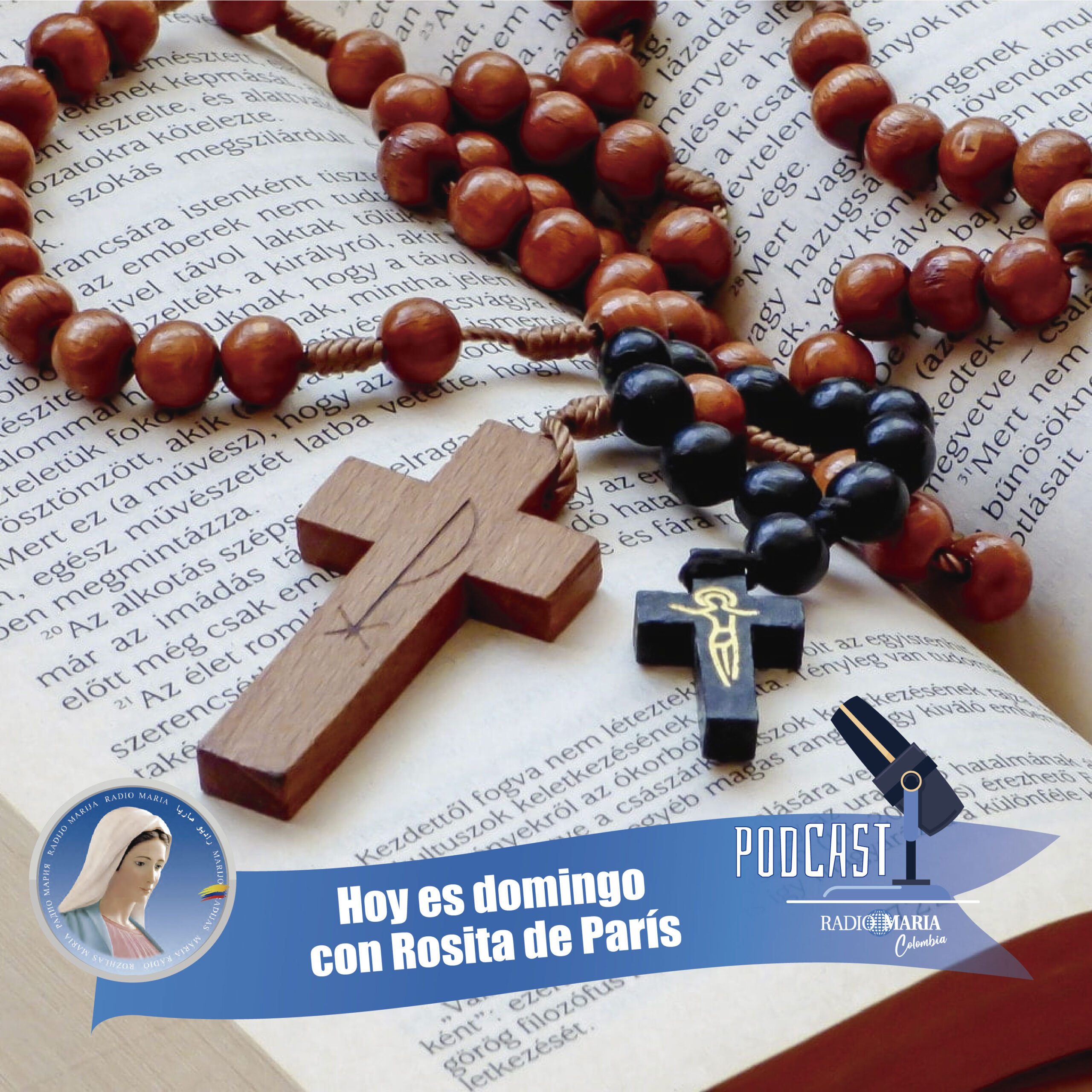Hoy es domingo con Rosita de París – Reflexión del evangelio del domingo 3 de diciembre de 2023 – Adviento ciclo b.